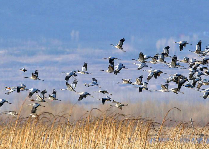 環(huán)境監(jiān)測和環(huán)境檢測的區(qū)別在哪里？