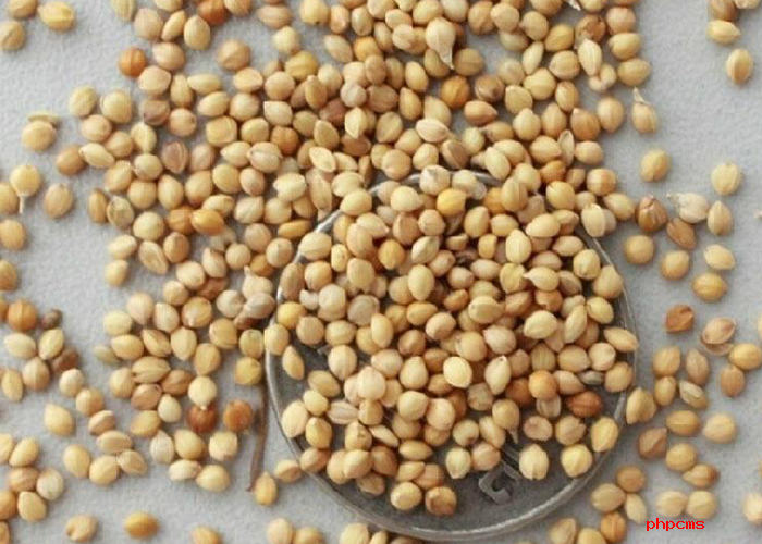 應用實驗室管理系統(tǒng)對農作物檢測有什么好處？